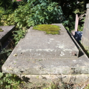 Spacer po Rakowicach 23.11.2025